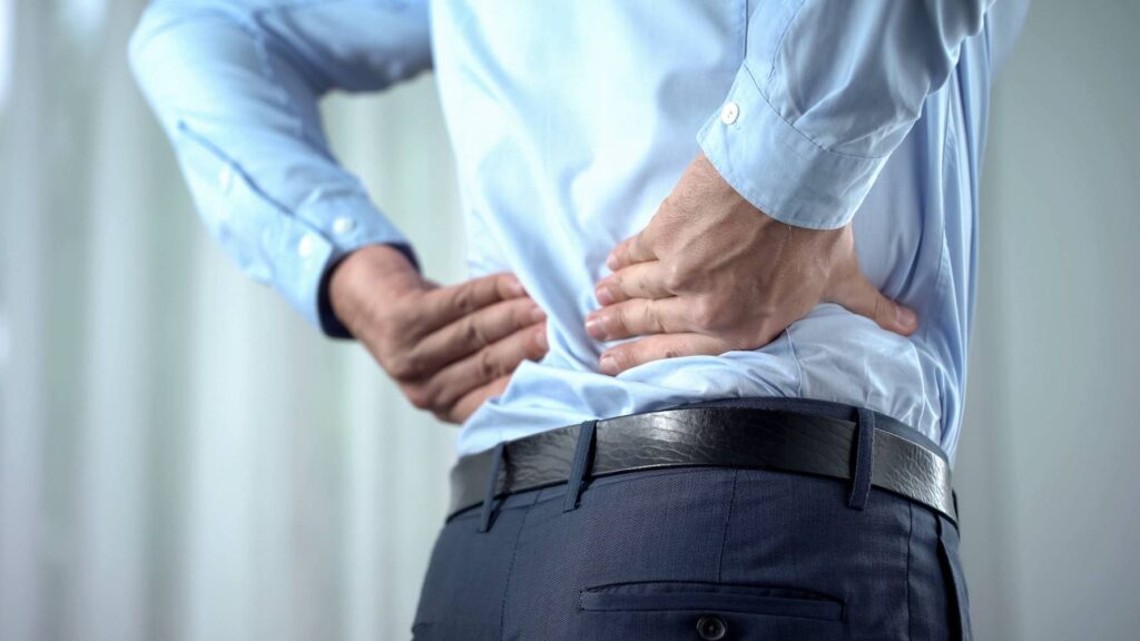 Lendenwirbelsäule Lendenwirbelsäule